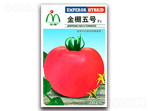 ������̖-�ۼt���ѷN��-���i