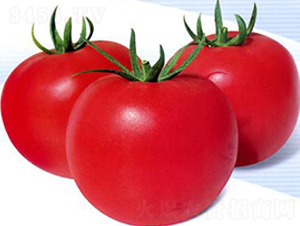 ����M158-�ۼt���ѷN��-���i