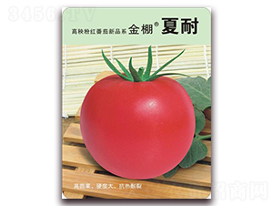 ��������-�ۼt���ѷN��-���i