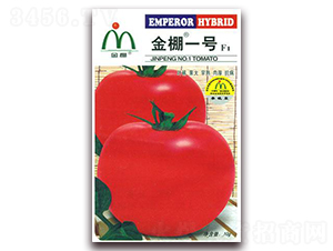 ����һ̖-�ۼt���ѷN��-���i