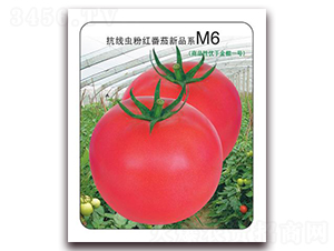 ����M6-�ۼt���ѷN��-���i