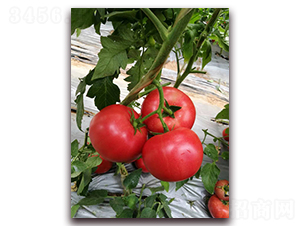 ����M708-���ѷN��-���i