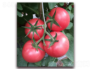 ����S07-���ѷN��-���i