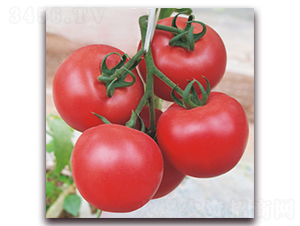 ����148-���ѷN��-���i