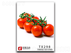 TM298-���ѷN��-�A̩���