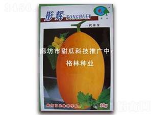 ͮ�x-���ܹϷN��-��(��i)��N�I(y��)