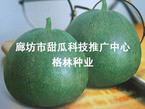 ����ʮһ-��ϷN��-��(��i)��N�I(y��)