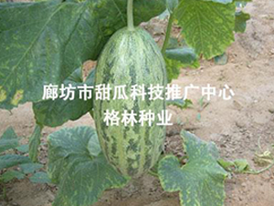 ��(m��ng)¶-��ϷN��-��(��i)��N�I(y��)