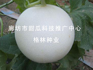 �yϼ-��ϷN��-��(��i)��N�I(y��)