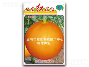 �����t��t-��ϷN��-��(��i)��N�I(y��)