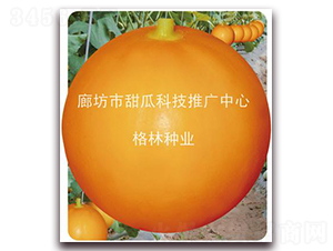 �t��-��ϷN��-��(��i)��N�I(y��)