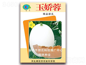 �����-��ϷN��-��(��i)��N�I(y��)