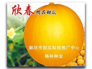 ����-��ϷN��-��(��i)��N�I(y��)