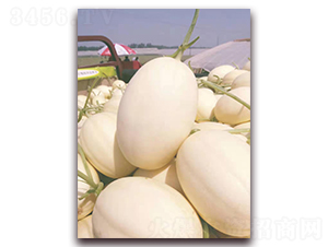 �|����-��ϷN��-��(��i)��N�I(y��)