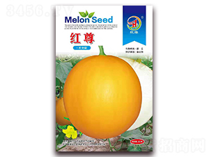 �t��-��ϷN��-��(��i)��N�I(y��)