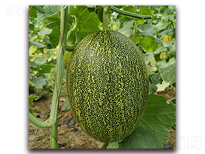 �Z��-��ϷN��-��(��i)��N�I(y��)