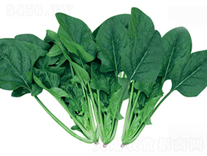 ؐ�ز���-���˷N��-����