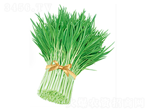 ����׹����~���Ĳ�-���Ĳ˷N��-����