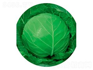 �G��ʯ-���{(l��n)�N��-����