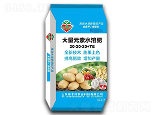 20kg����Ԫ��ˮ�ܷ�20-20-20+TE-�G�S���r(n��ng)�I(y��)