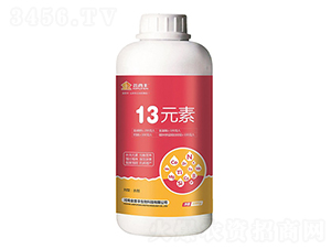 13Ԫ��-�����S