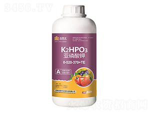 �������0-520-370+TE-�����S