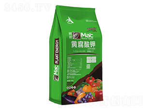 �S�����-���r(n��ng)�r(n��ng)�I(y��)