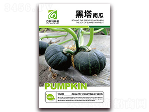 ����-�ϹϷN��-��˹��