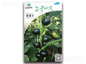 ��� �-�ϹϷN��-��˹��