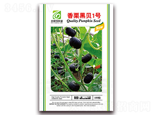 ������ؐ1̖(h��o)-�ϹϷN��-��˹��