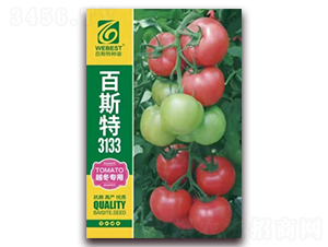 ��˼��3133-���ѷN��-��˹��