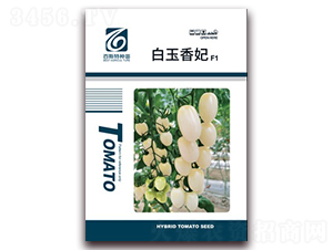 ��������-���ѷN��-��˹��