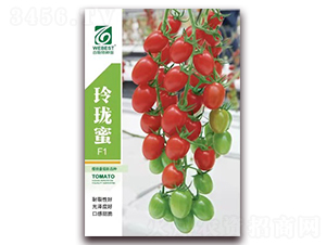 �ᭇ��-���ѷN��-��˹��