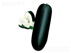 �����Ƥ�󶬹�-���ϷN��-����