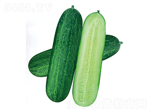 �G��ʿ��̖(h��o)-���ϷN��-����