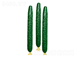 ����̖(h��o)���-�S�ϷN��-����