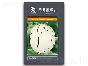 �����۹�-��ϷN��-��˹��