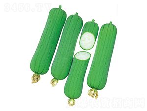 �����z��-�z�ϷN��-����