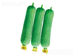 �𸣽z��-�z�ϷN��-����