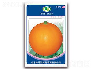 ����ɯ��-��ϷN��-��˹��