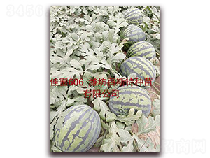 ����606-��ϷN��-��˹��