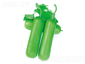 ��ưһ̖(h��o)-�ѹϷN��-����