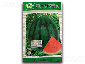 ��ʿ�t2̖(h��o)-���ϷN��-��˹��