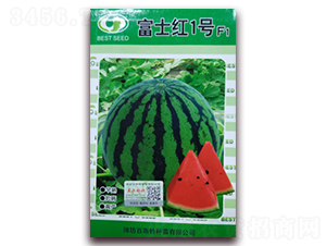 ��ʿ�t1̖(h��o)-���ϷN��-��˹��