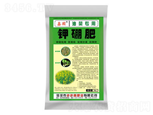 �Ͳˌ�������-�Έ@