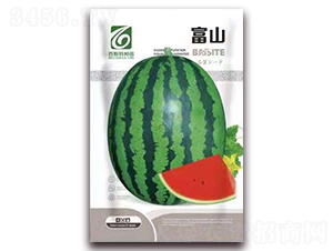 ��ɽ����-���ϷN��-��˹��