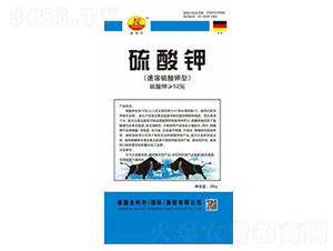 ���������-�Έ@