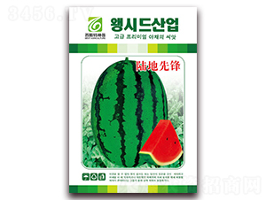 ꑵ����h-���ϷN��-��˹��