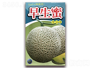 ������-��ϷN��-��˹��