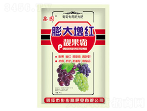 ������t�n����-�Έ@